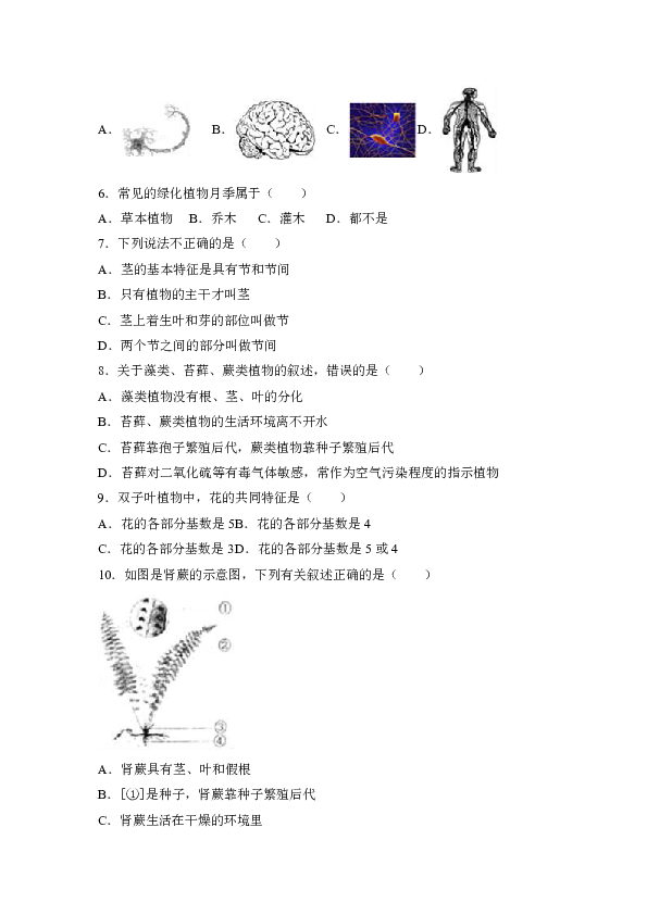 河北省唐山市迁安市2016-2017学年七年级（上）期末生物试卷（解析版）