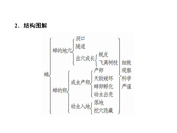 2019秋人教部编版八年语文上册习题课件：20 蝉（29张PPT）