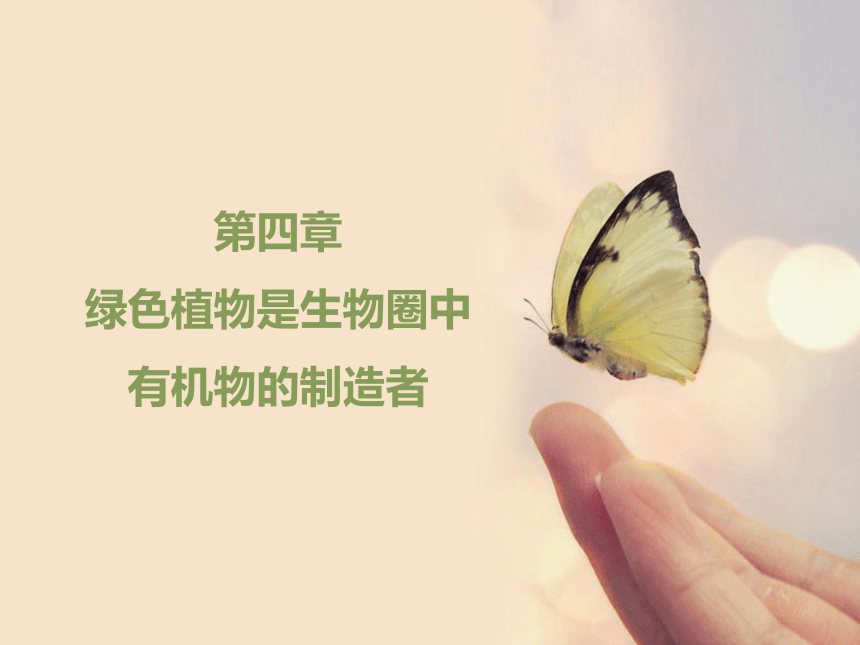 人教版七年级生物上册3.4绿色植物是生物圈中有机物的制造者课件（共22张PPT）