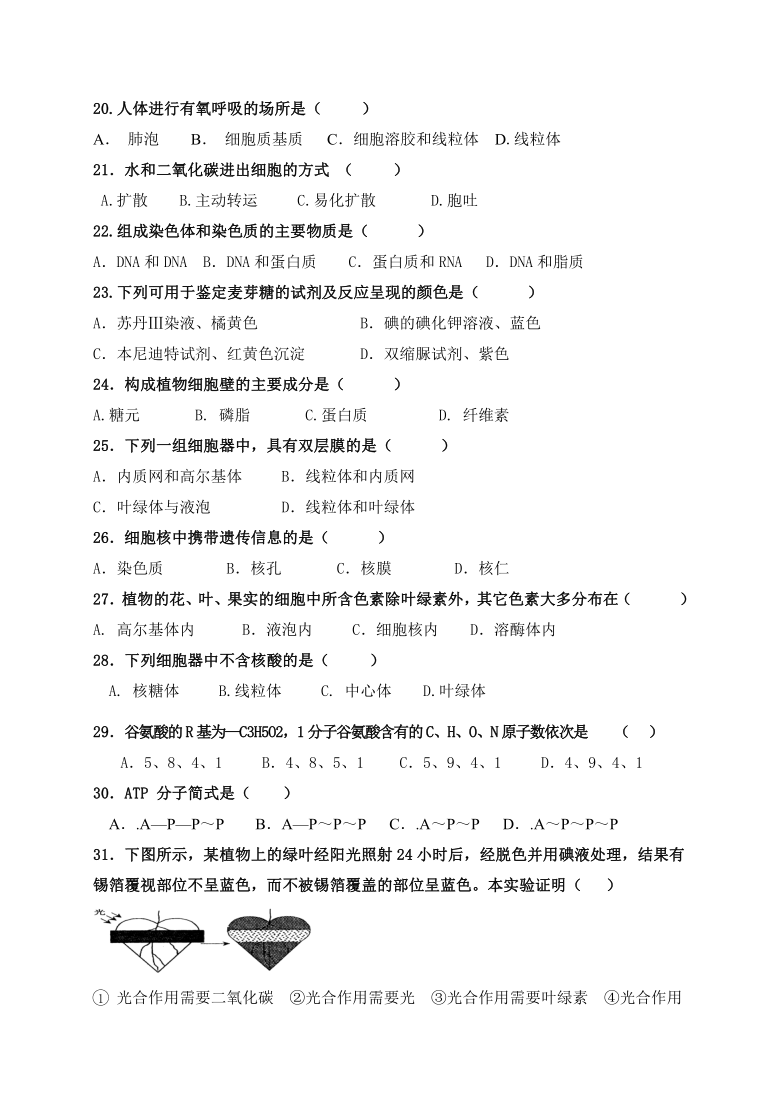 浙江省金华市曙光学校2020-2021学年高二上学期期中考试生物试题  含答案