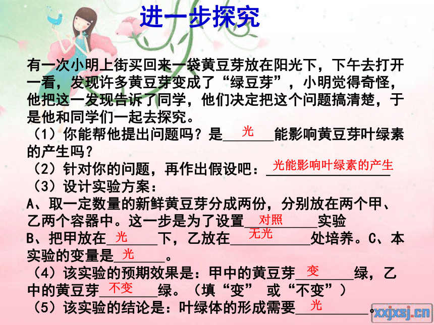 第1章 科学入门专题训练（科学探究）（课件 21张ppt）