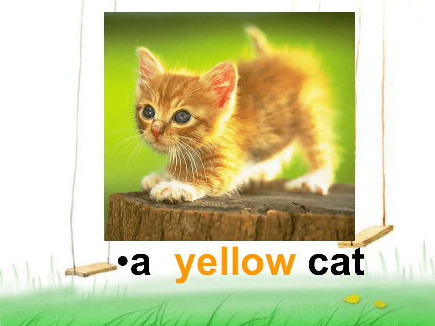 外研版（一起）标准一年级英语上册课件 Unit2 Its a yellow cat(1)