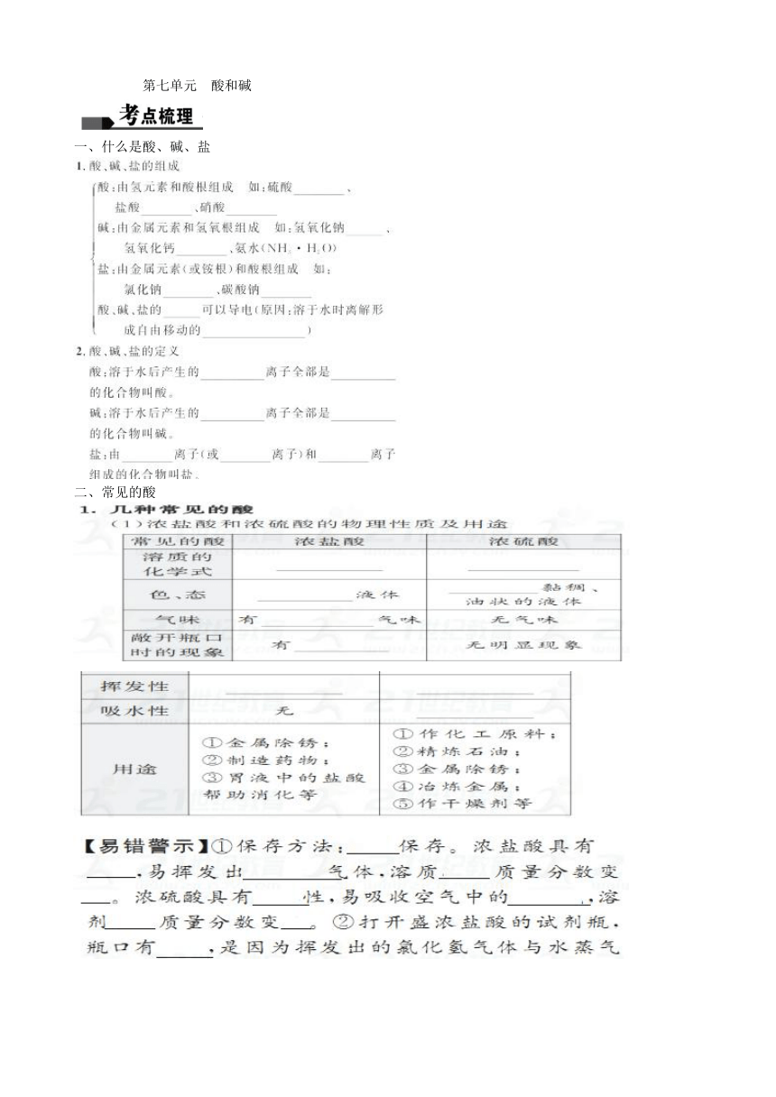 鲁教版九年级化学第七单元  常见的酸和碱复习学案