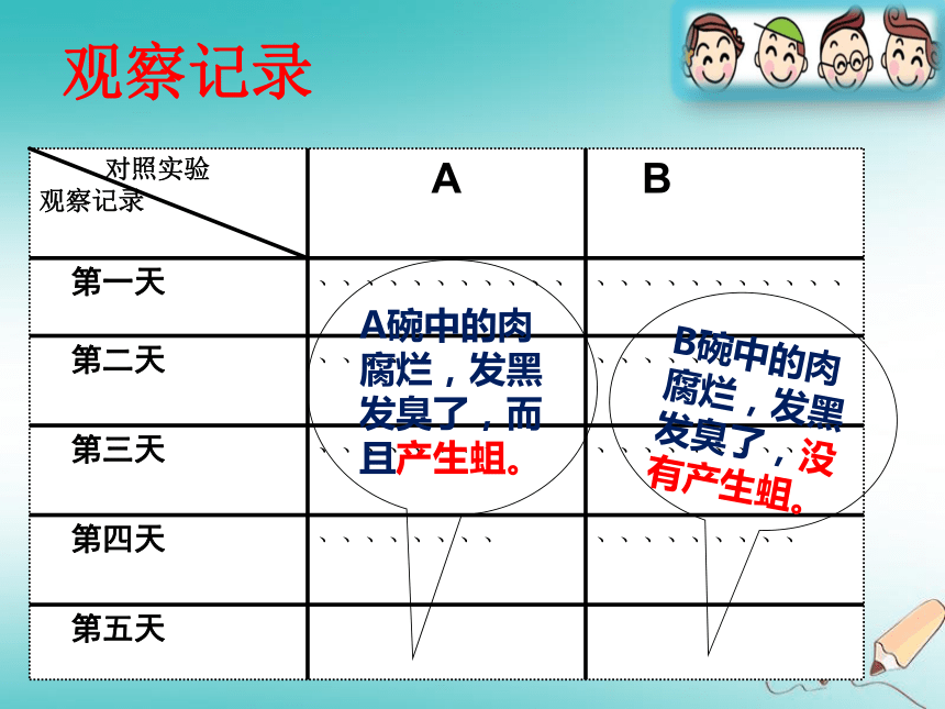 2.2探索生命的方法 课件（28张PPT）