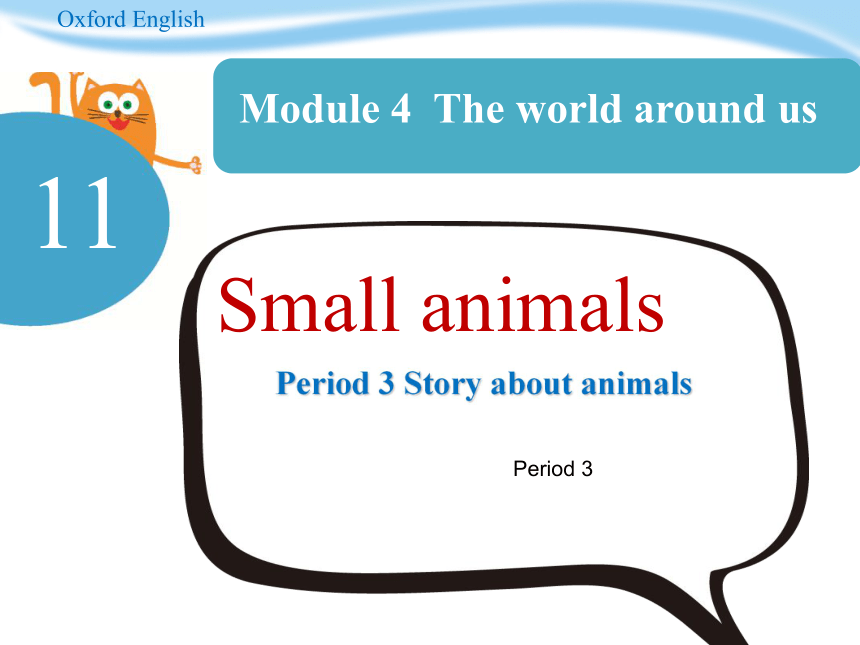 Unit 11 Small animals 第3课时 课件