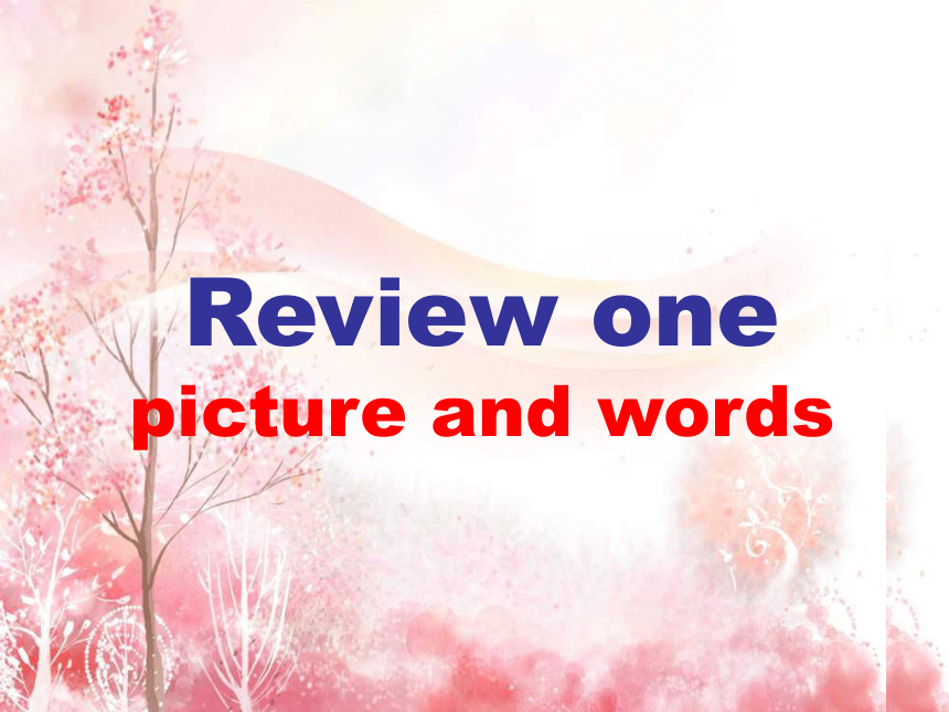 北师大版三年级上册英语《review -word and picture》课件