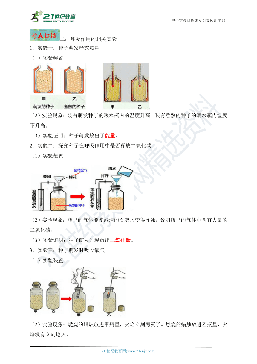 专题08 碳氧平衡·爱护植被·绿化祖国【名师导航】中考生物一轮复习学案（含解析）