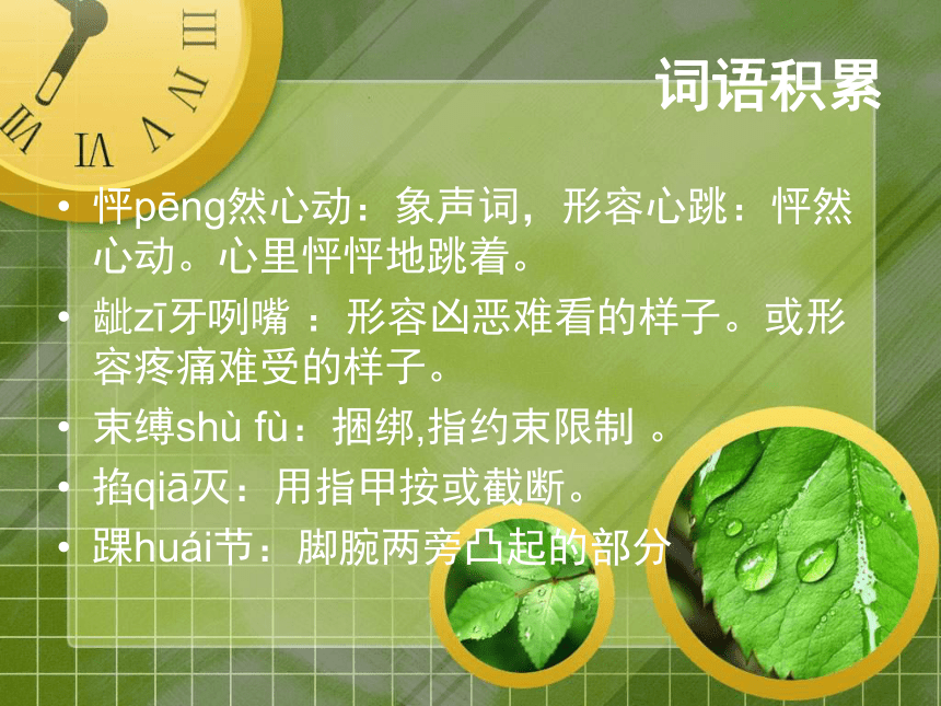 沪教版语文八上《与爱相约》ppt课件