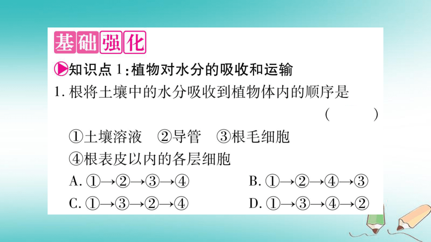 2018秋七年级生物上册第3单元第3章绿色植物与生物圈的水循环习题课件（25张PPT）