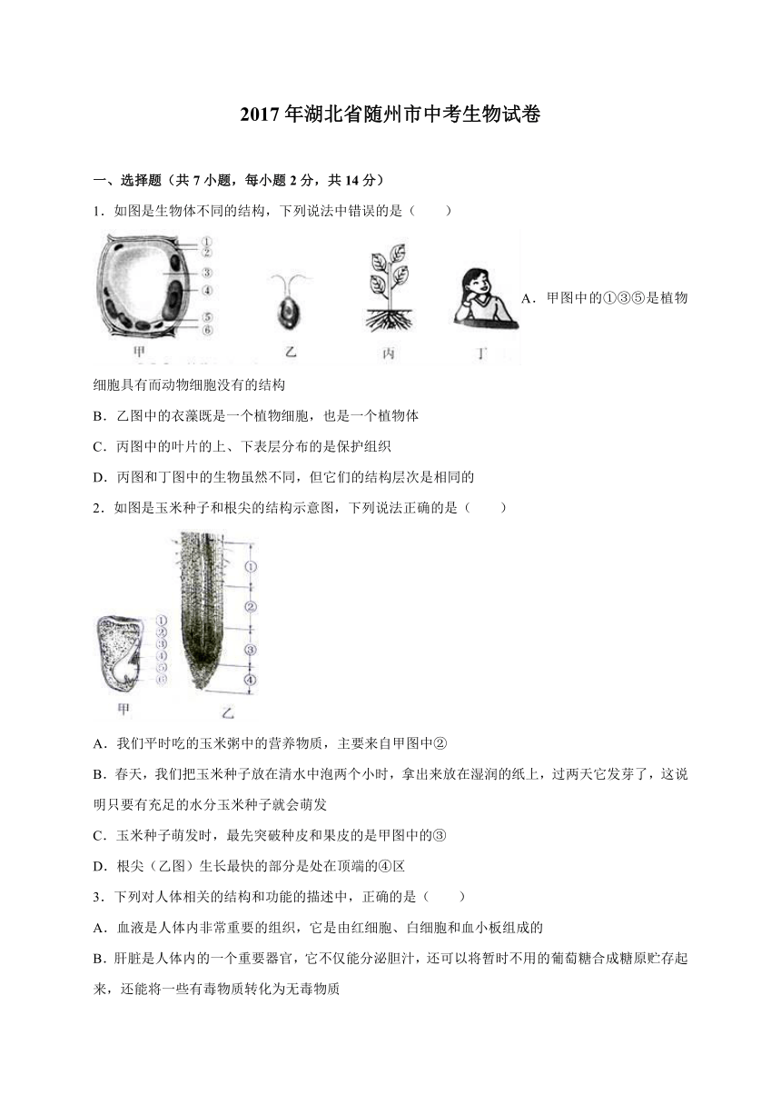 2017年湖北省随州市中考生物试题（解析版）