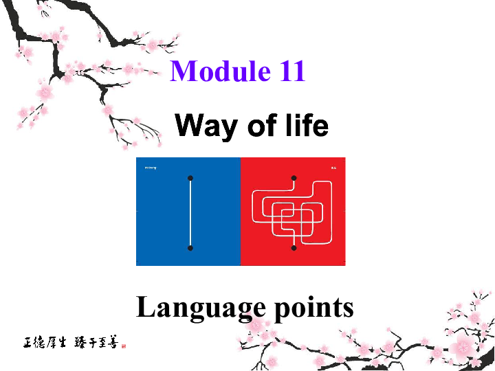 Module 11 Way of life  Unit 1 In China ,we open a gift later.(共26张PPT)