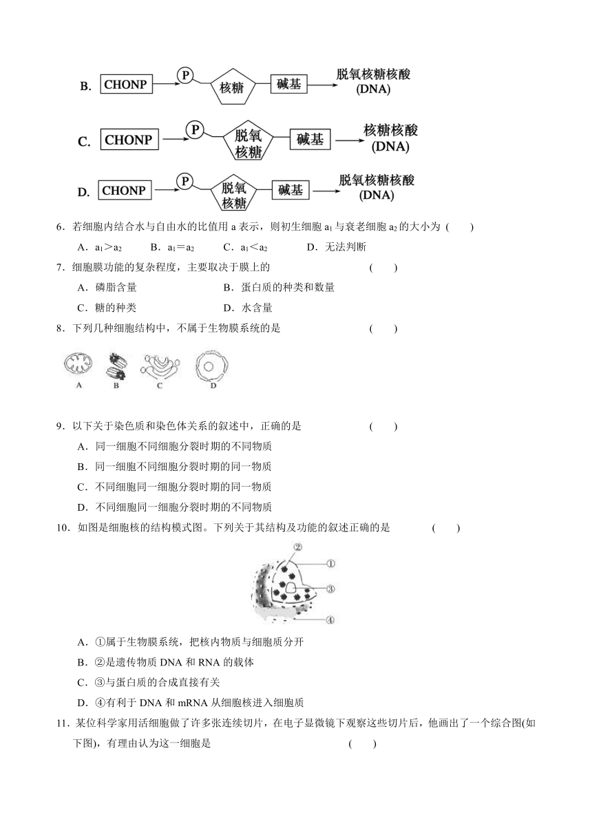 天津市滨海新区大港八中2017-2018学年高一上学期第二次月考生物试卷