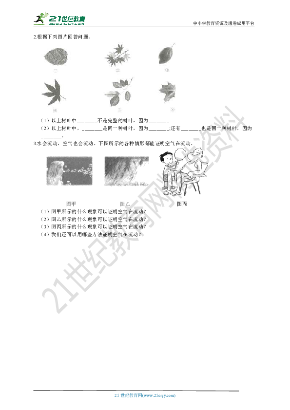 （教科版）三年级科学上册期末学习情况调研(四）