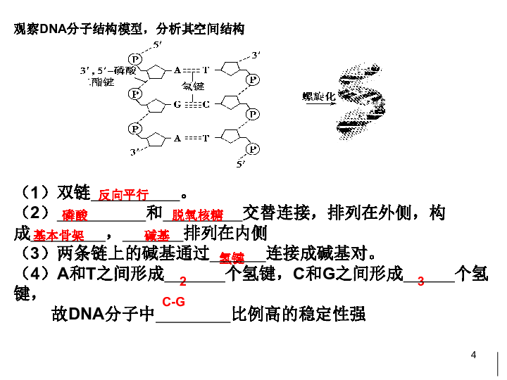 人教版高一生物必修二第三章第四节 基因是有遗传效应的DNA片段 （共32张PPT）