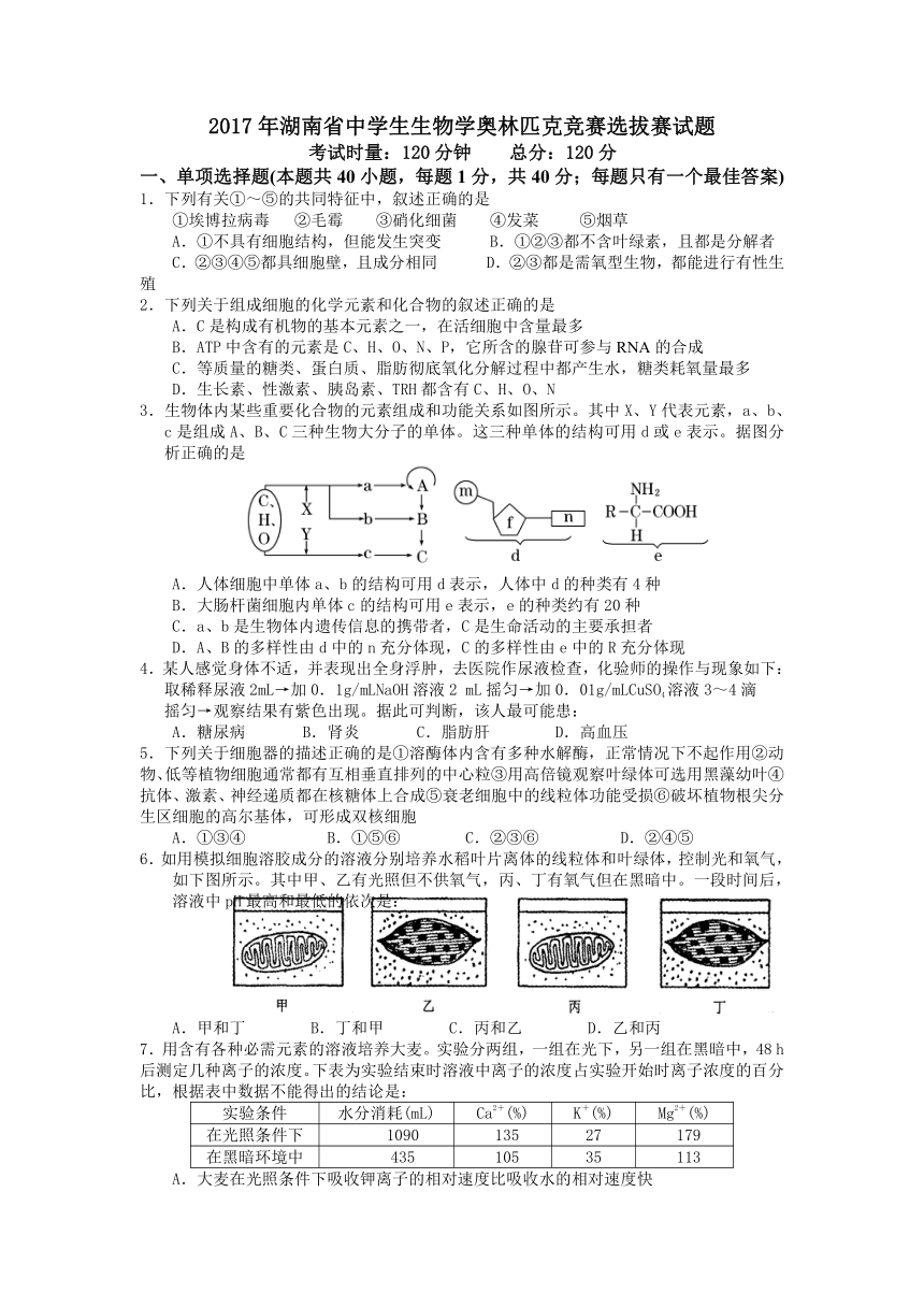 2017年湖南省中学生生物学奥林匹克竞赛选拔赛试题