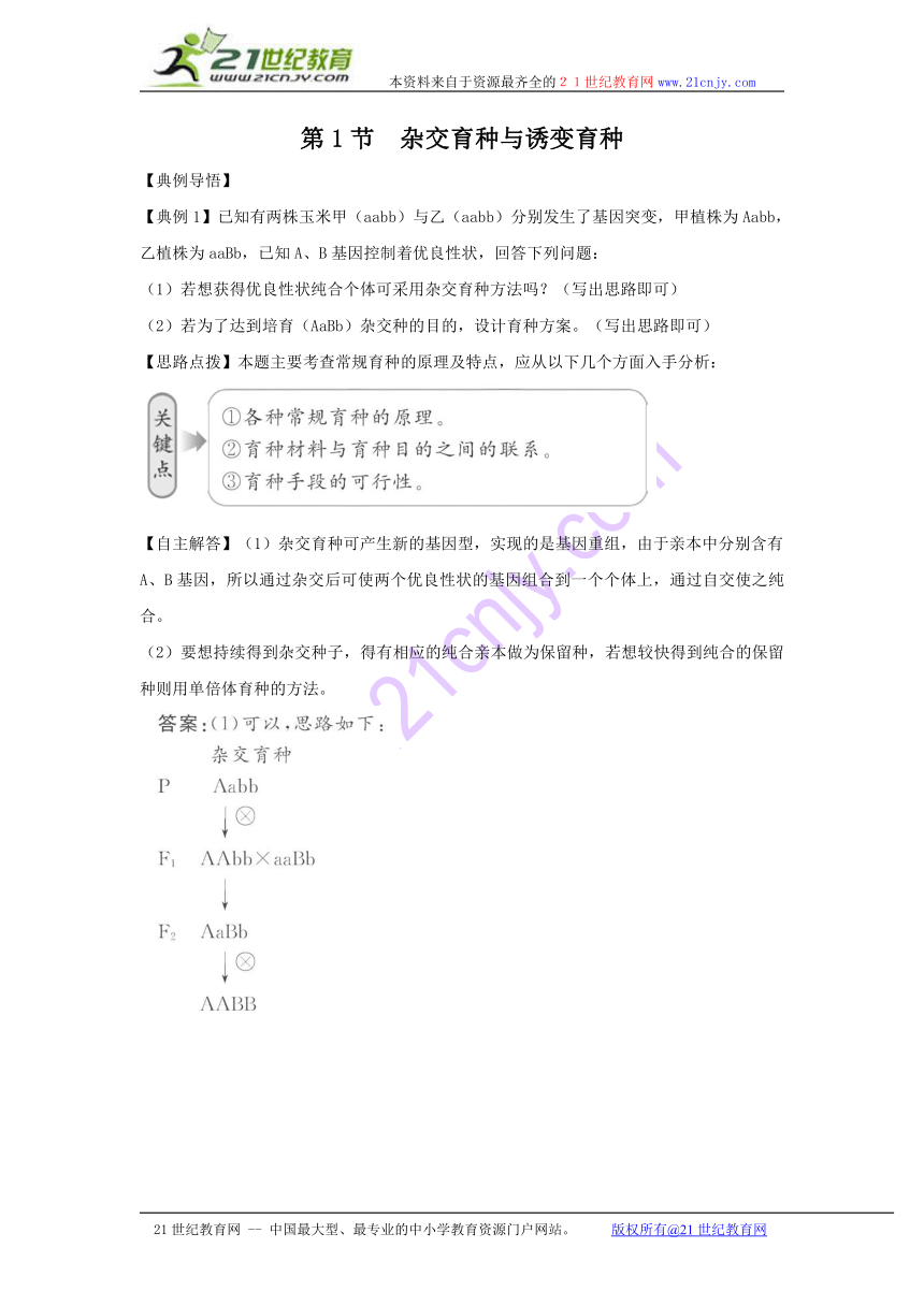 必修2同步精练精析：杂交育种与诱变育种