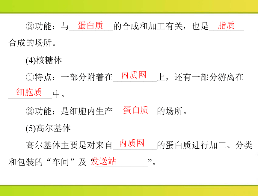 2013年《随堂优化训练》第3章第2节细胞器——系统内的分工合作