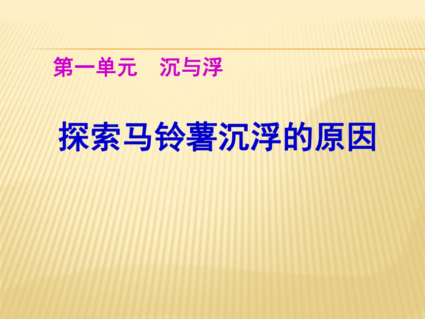 8、探索马铃薯沉浮的原因 课件