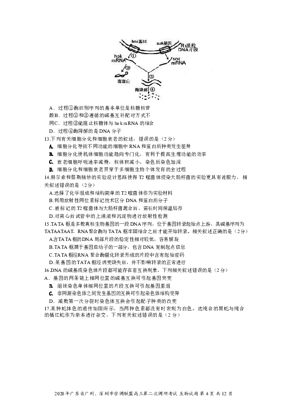 广东省广州、深圳市学调联盟2020年4月高三第二次调研考试生物试题（PDF版含答案）