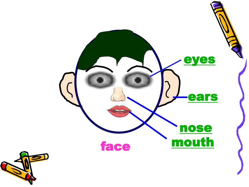 Lesson 12 I Smell with My Nose 课件