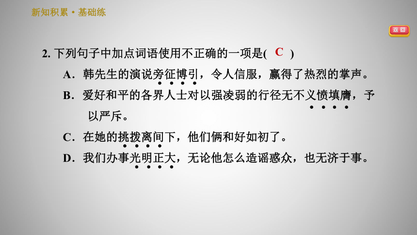 人教版八年级下册语文习题课件 13.最后一次讲演（24张ppt）