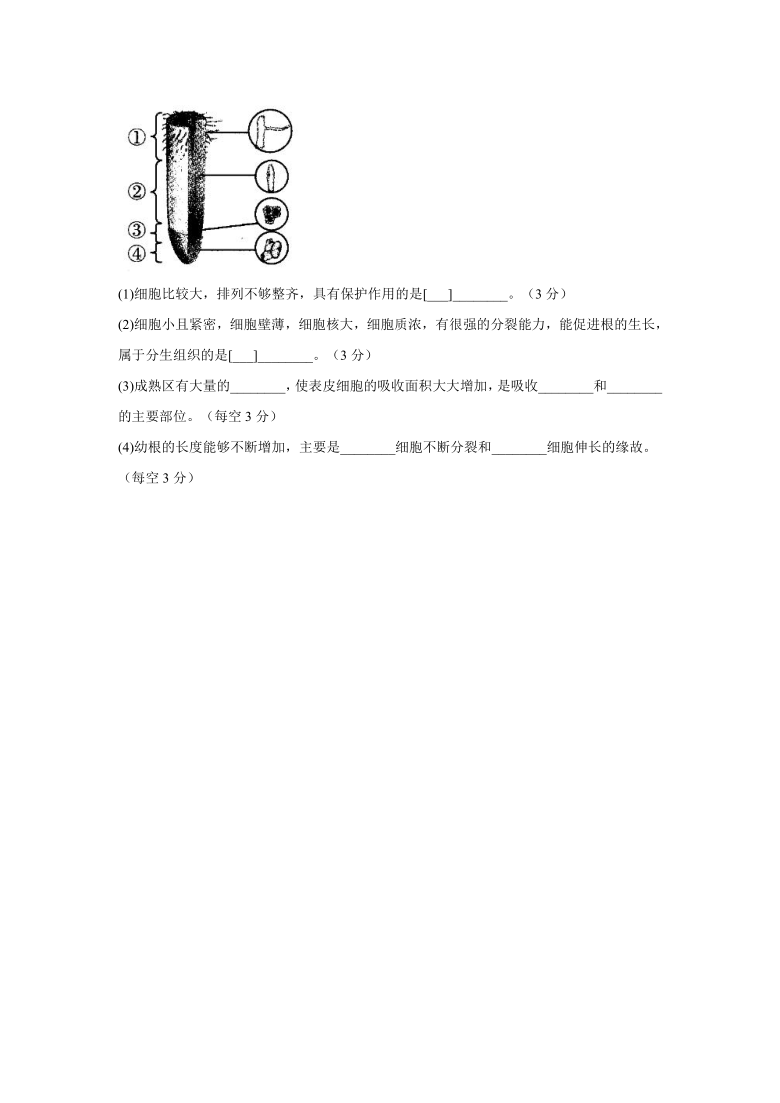 河北省廊坊市彭村中学2020-2021学年第一学期七年级生物期末评估试卷（word版含解析）