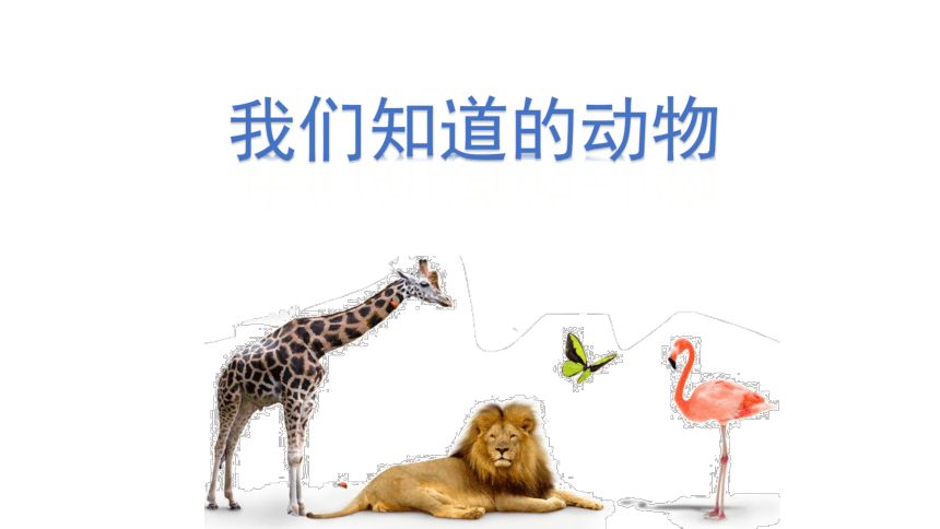 课件预览