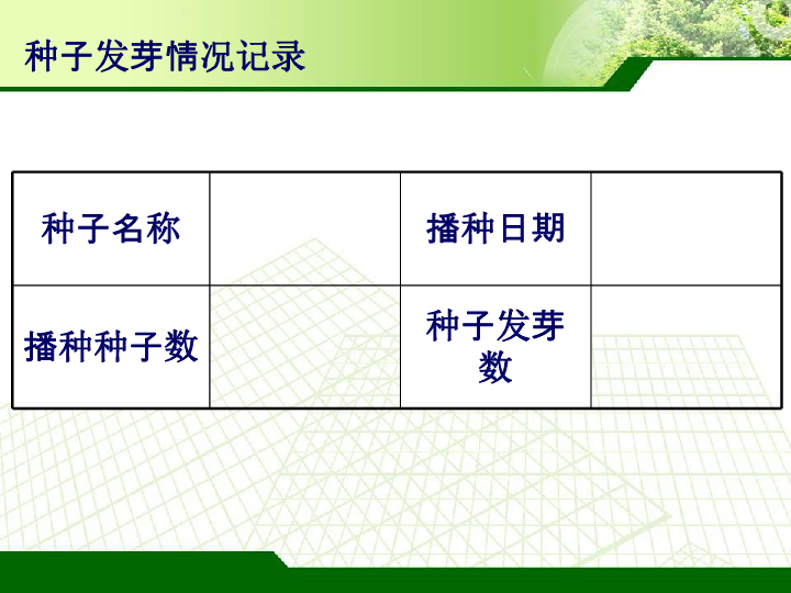 11种茄子  课件（9张PPT）