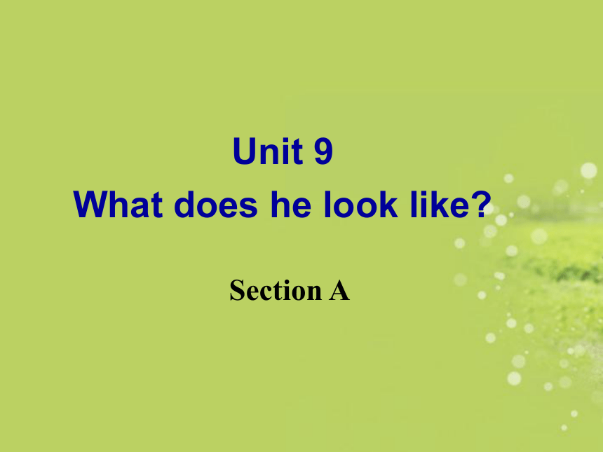 Unit 9 What does he look like? Section A（1a-3d）课件