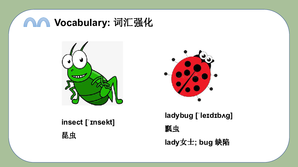 Unit2(lesson2) What's an insect 课件(共31张PPT)