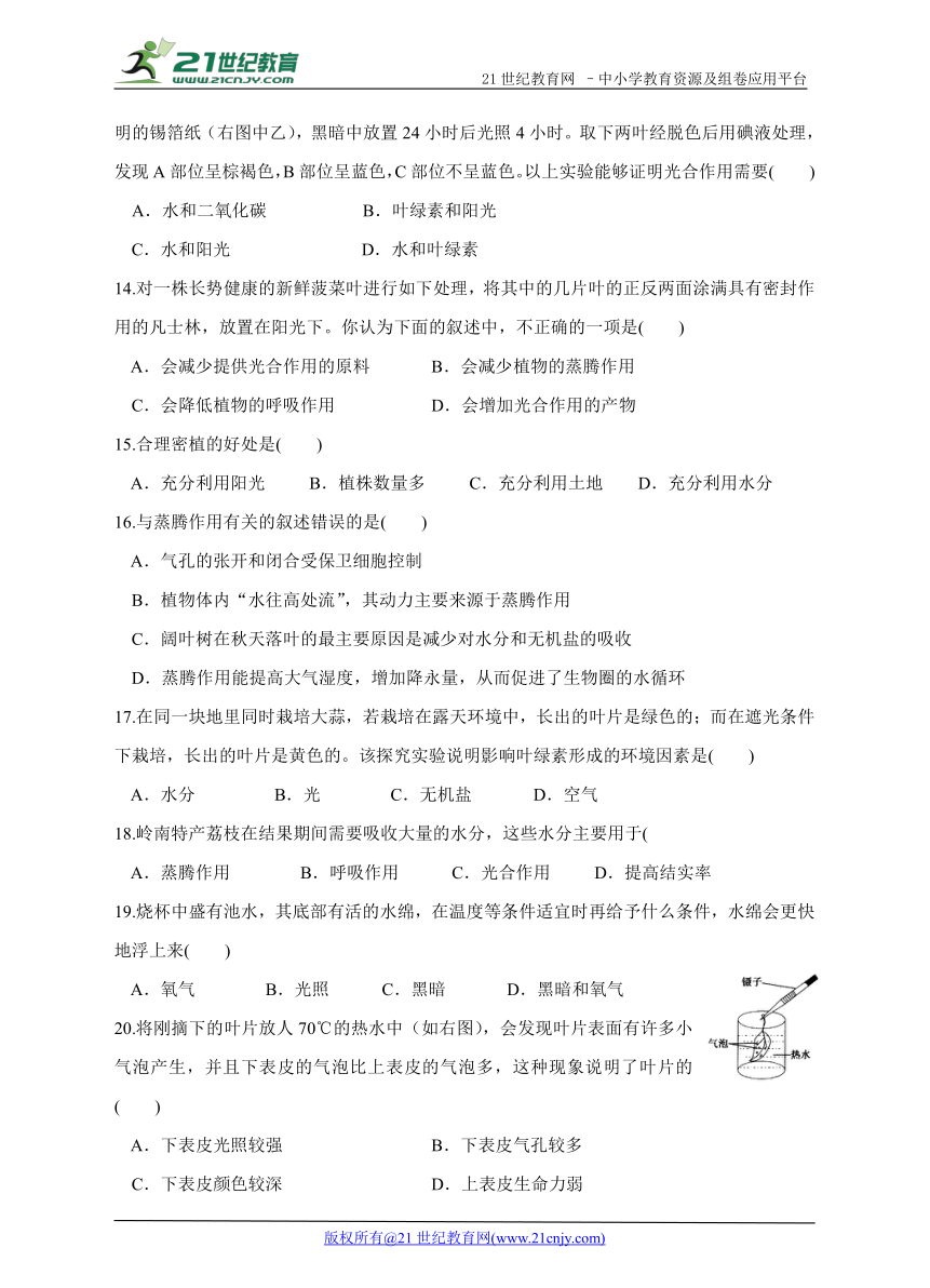 第二单元  第一章生物圈中的绿色植物 综合能力检测卷（含答案）