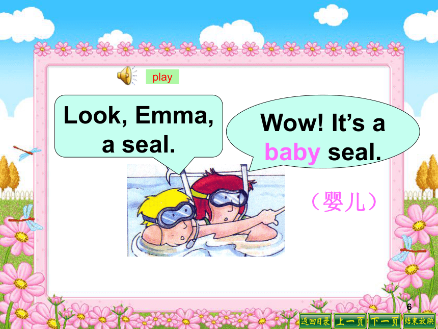 unit 5 on the beach Story-The seal课件
