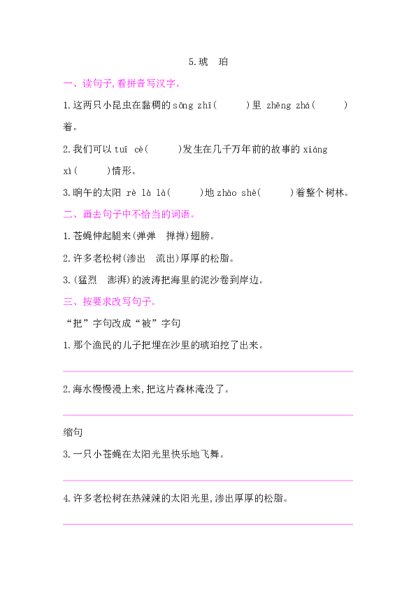 5.琥　珀 课后作业（含答案）