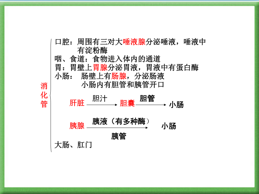 北師大版七下第四單元第8章人體營養第2節食物的消化和營養物質的吸收