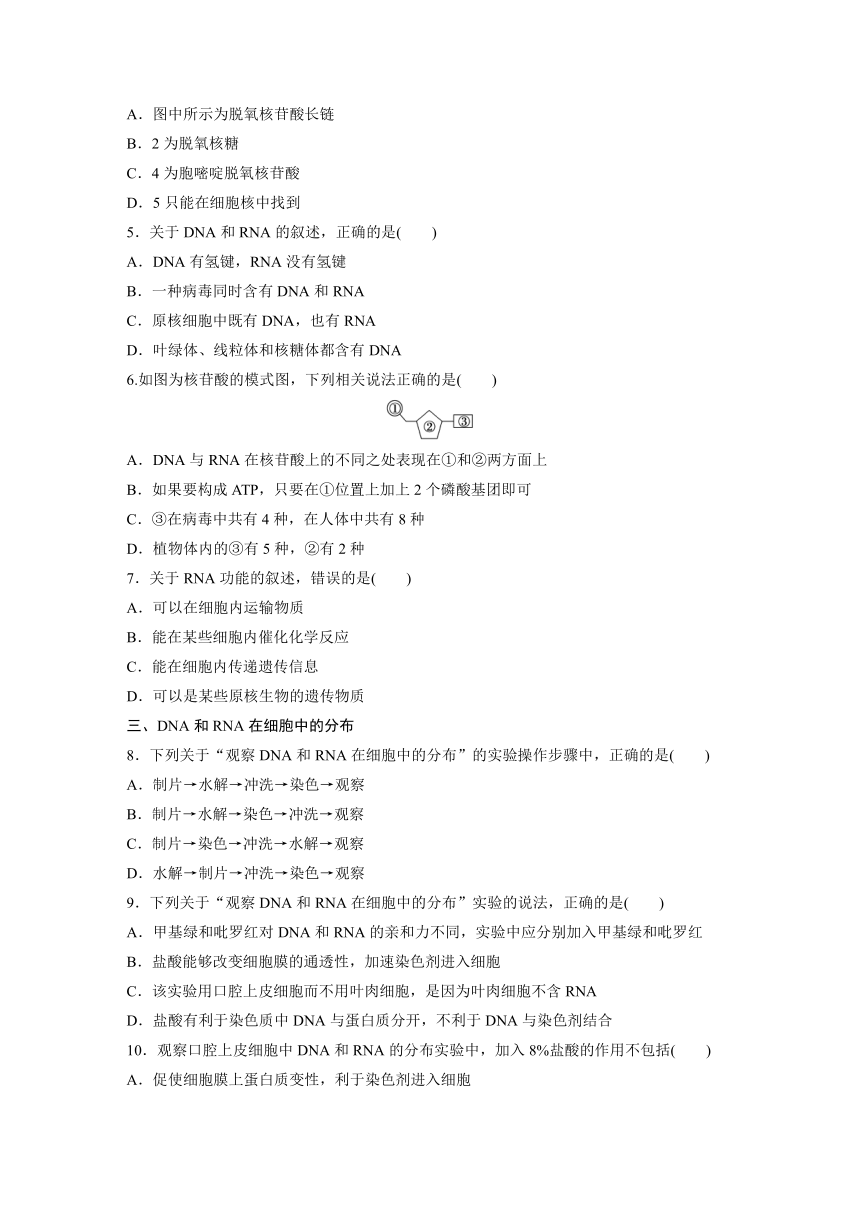 【寒假作业】假期培优解决方案 寒假专题突破练 高一生物（通用版）专题二　核酸的结构和功能