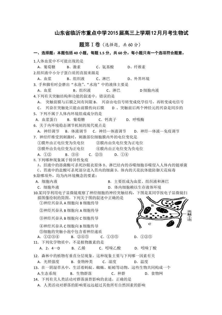 山东省临沂市重点中学2015届高三上学期12月月考生物试题