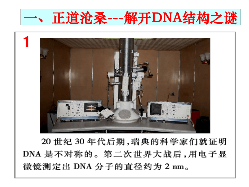 高中生物人教版必修2第三章第2节 DNA分子的结构   课件(44张ppt)