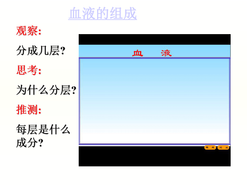 第一节流动的组织---血液