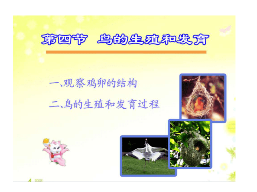 第四节 鸟的生殖和发育 课件（共27张PPT）