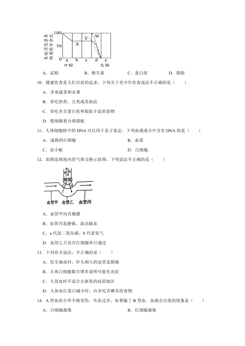 2020-2021学年湖南省永州市宁远县七年级下学期期末生物试卷（word版 含解析）