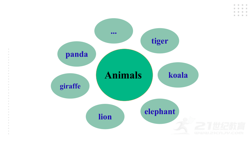 Unit 5 Why do you like pandas? SectionA Gramar Foucs-3c课件（共29张PPT）