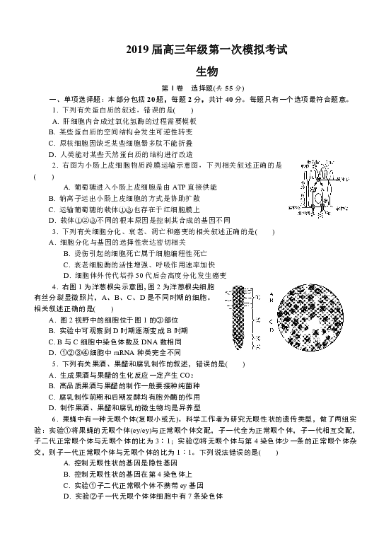 江苏省泰州市2019届高三第一次模拟考试 生物