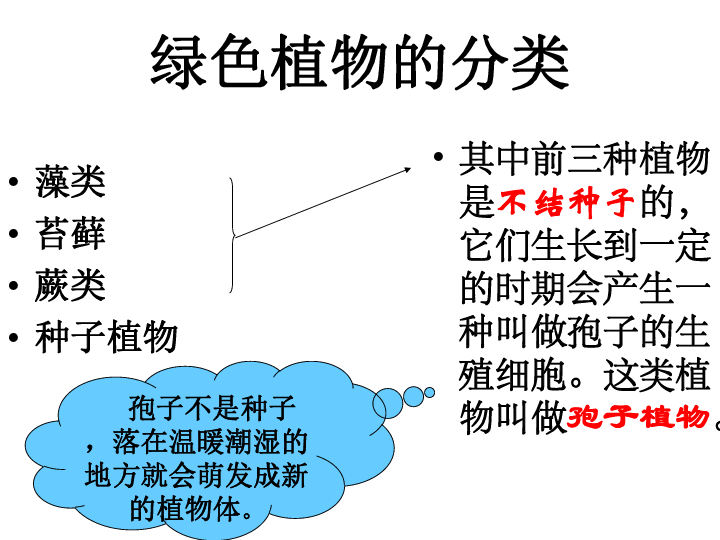 第一节 藻类、苔藓和蕨类植物课件（21张PPT）