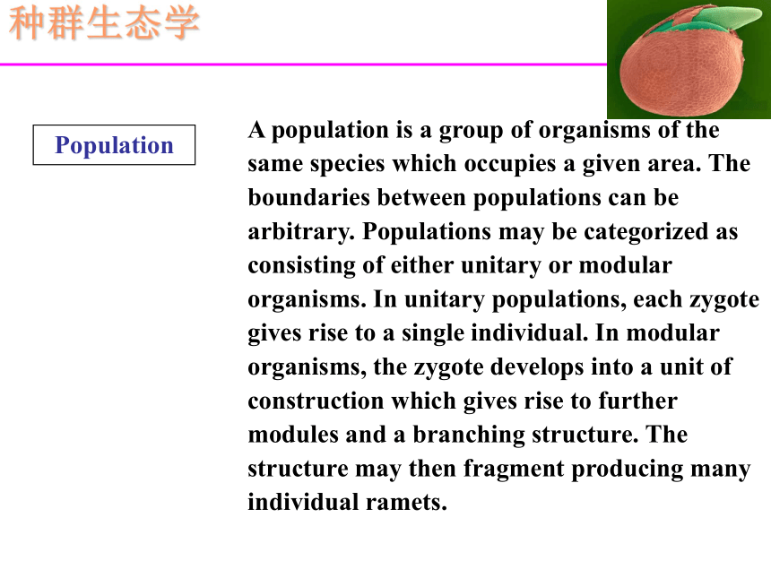 种群生态学_种群的密度和分布