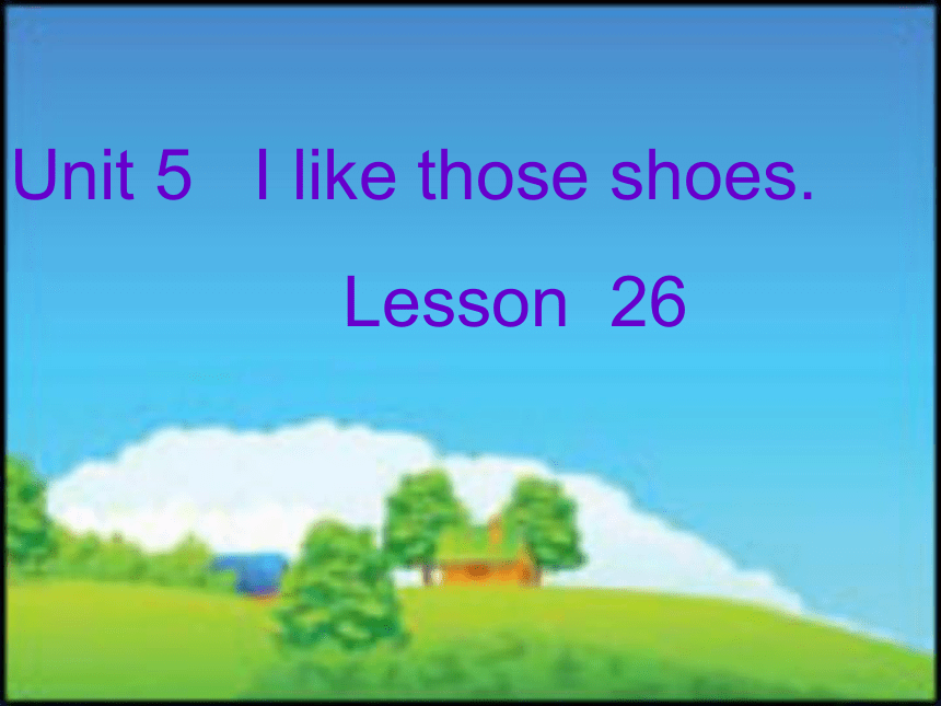 Unit 5 I like those shoes Lesson 26 课件