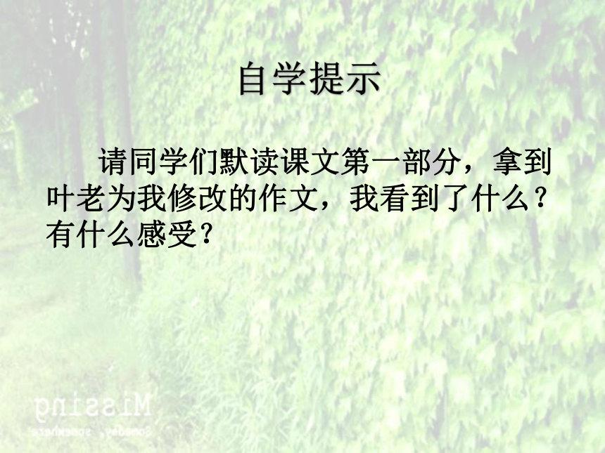 《那片绿绿的爬山虎》课件  (共36张PPT)