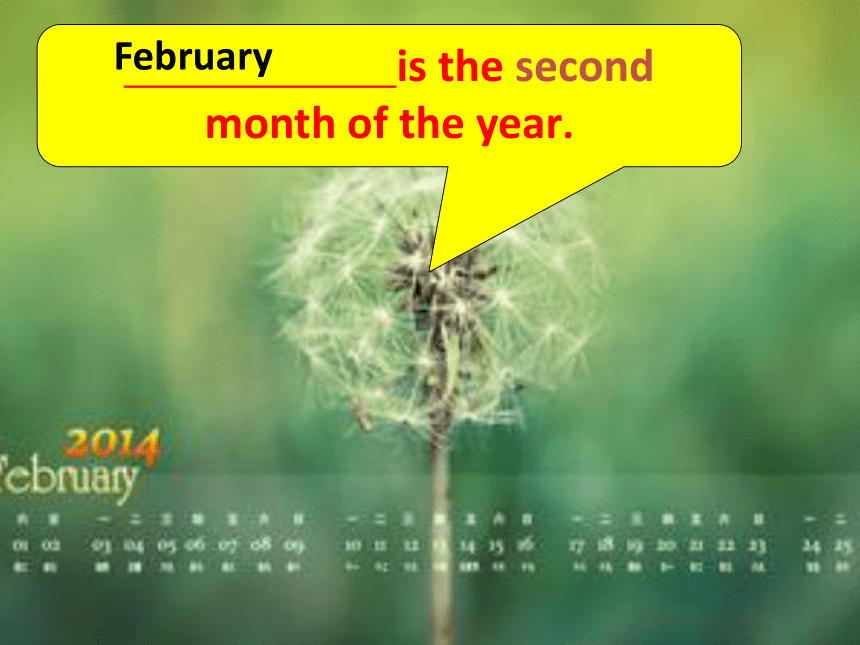 Unit 4 January is the first month Lesson 22 课件