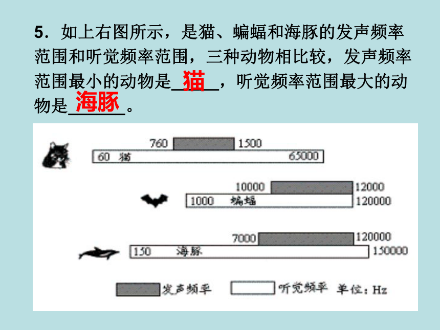 八年级物理第一学期总复习课件沪科版