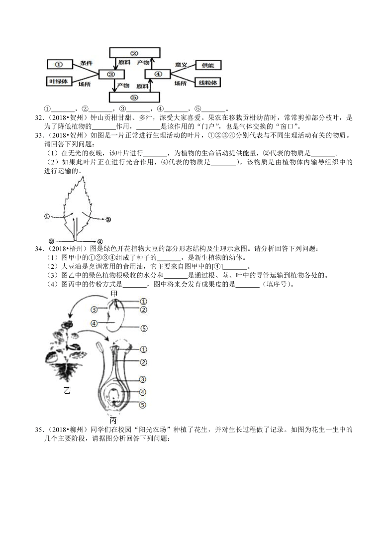 广西2018-2020年近三年中考生物试题分类（3）——生物圈中的植物(含解析)