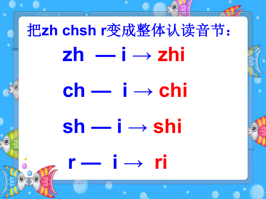 语文一年级上北师大版10《zh ch sh r 》课件1
